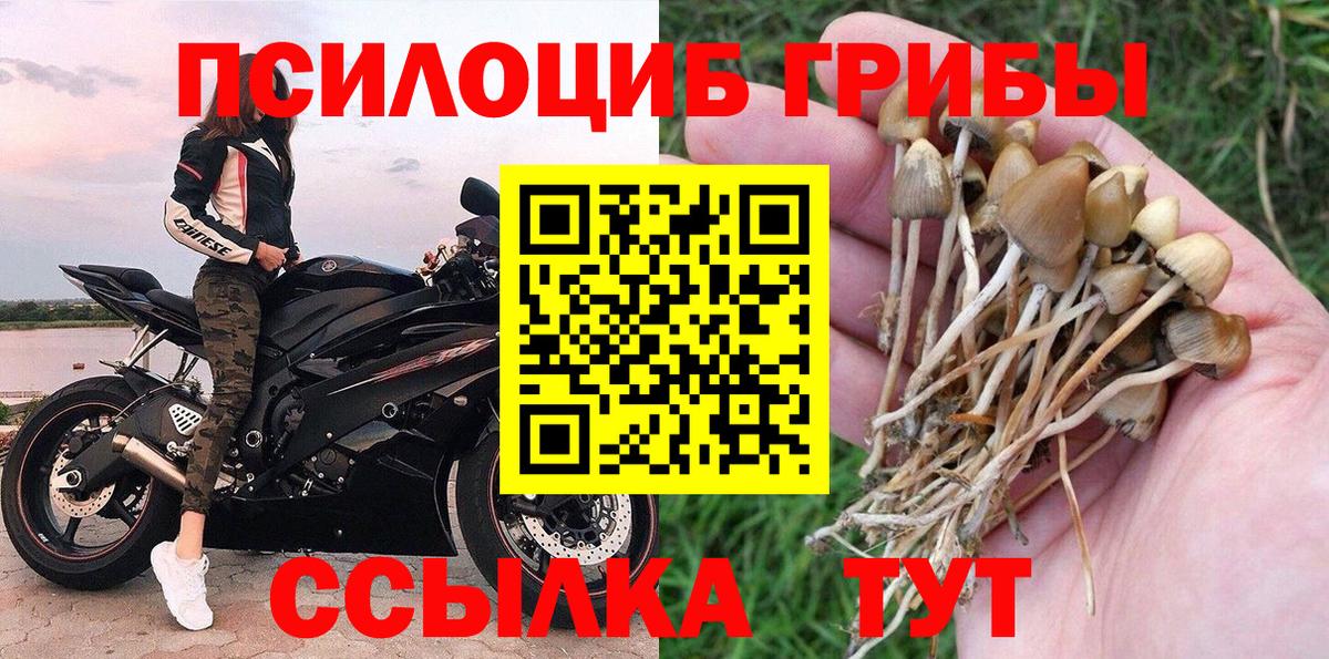 Псилоцибиновые грибы мухоморы Мончегорск